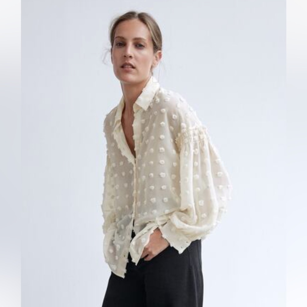 Zara Cream Sheer Blouse